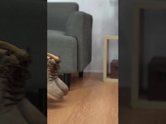 पुरुषों के खेल के जूते, स्लिप विरोधी और पहनने के प्रतिरोधी जूते